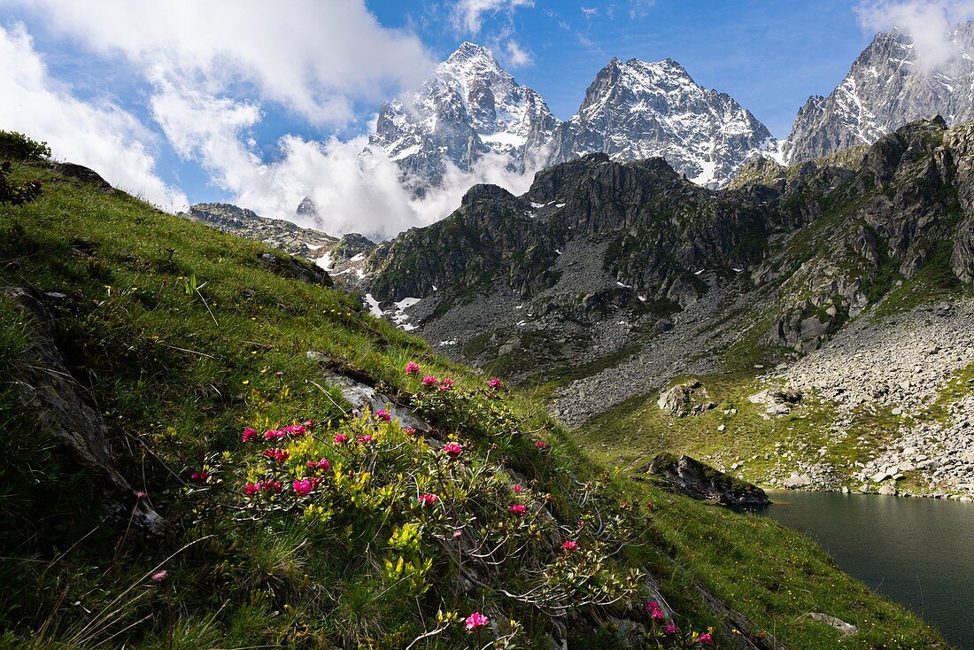 Italy, Piedmont, Pian del Re, Crissolo. Monviso is the highest peak of Piedmont. On the right side there is Visolotto peak.