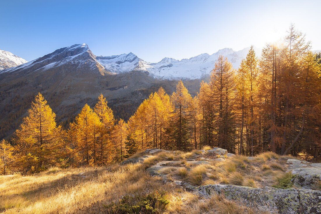 Valsavarenche, Nationalpark Gran Paradiso, Aostatal, italienische Alpen, Italien