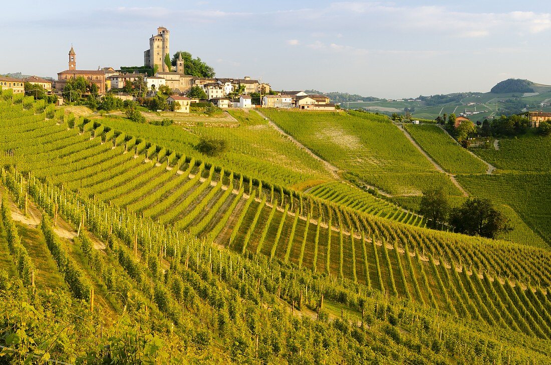 Serralunga d'Alba Castle through the vineyards, Serralunga d'Alba, Piedmont, Italy