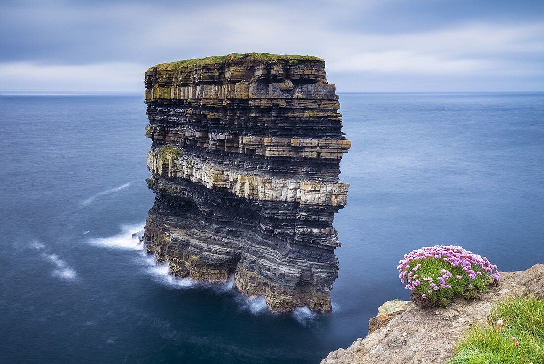 View of the huge sea stack called Dun Briste at Downpatrick Head from the surrounding cliffs. Ballycastle, County Mayo, Donegal, Connacht region, Ireland, Europe.