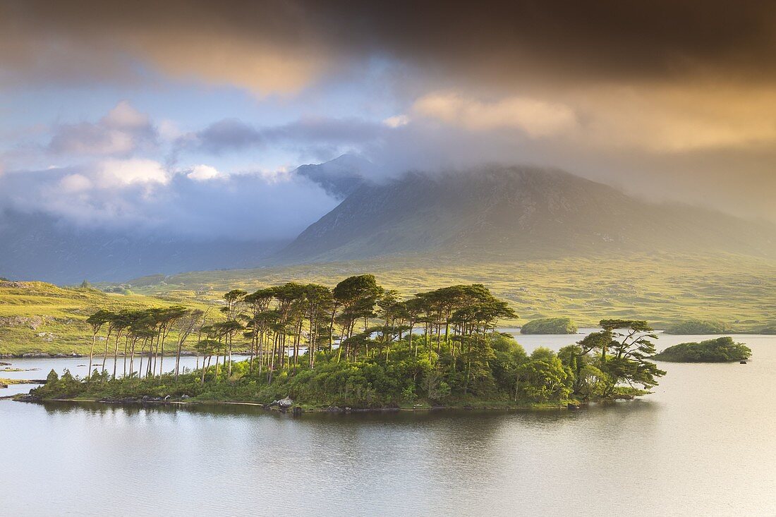 Blick auf Pine Island auf dem Derryclare Lough See bei Sonnenaufgang. Pine Island, Connemara-Nationalpark, Grafschaft Galway, Provinz Connacht, Inagh Valley, Irland, Europa.