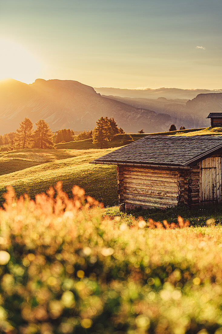 Sunrise on the Seiser Alm in South Tyrol, Italy, Europe;