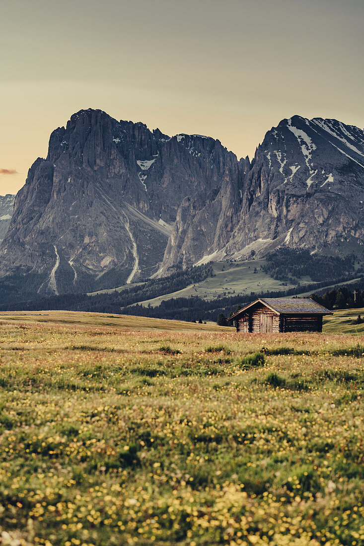 Sonnenaufgang auf der Seiser Alm in Südtirol, Italien, Europa