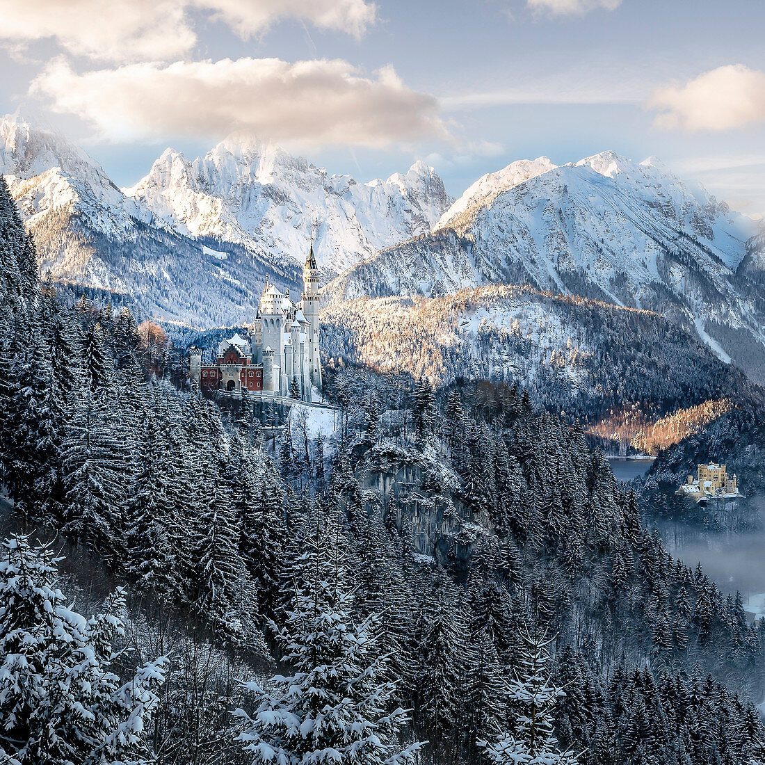 Neuschwanstein Castle in winter, Allgäu, Bayern, Allgäu, Bavaria, Germany