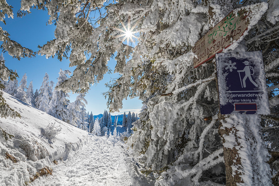 Winterwanderweg auf dem Tegelberg bei Schwangau, Allgäu, Bayern, Deutschland