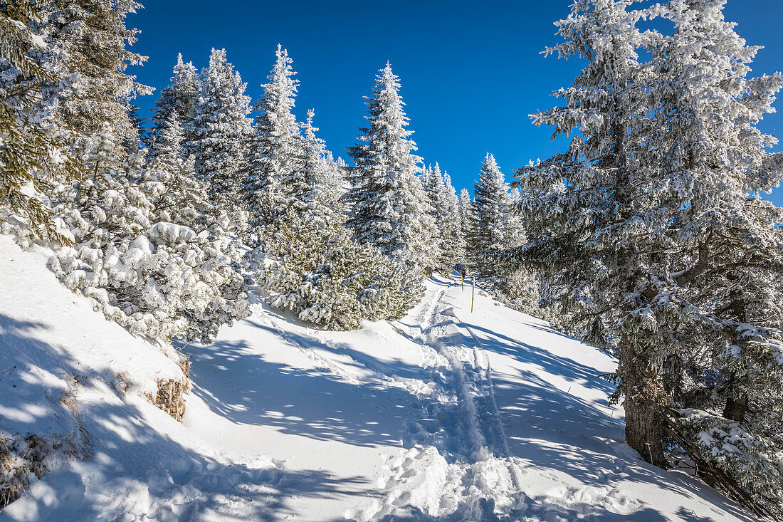 Winterwanderweg auf dem Tegelberg bei Schwangau, Allgäu, Bayern, Deutschland