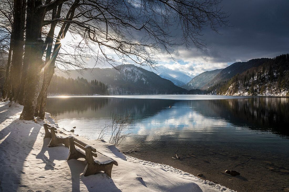 Alpsee bei Hohenschwangau, Schwangau, Allgäu, Bayern, Deutschland