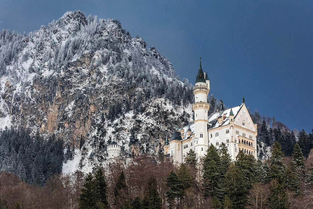 Blick auf Schloss Neuschwanstein, Schwangau, Allgäu, Bayern, Deutschland