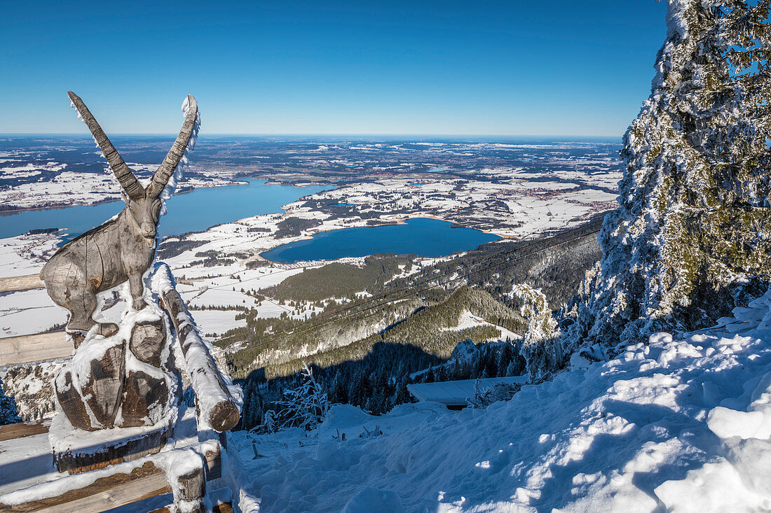 Carved ibex at the Tegelberghaus (1,707 m) with a view of the Forggensee, Schwangau, Allgäu, Bavaria, Germany