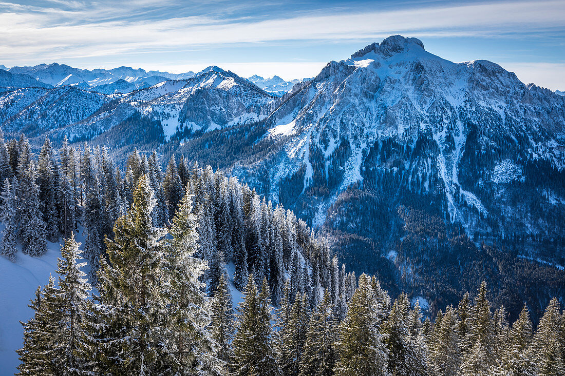Verschneiter Winterwald am Tegelberg im Ammergebirge, Schwangau, Allgäu, Bayern, Deutschland