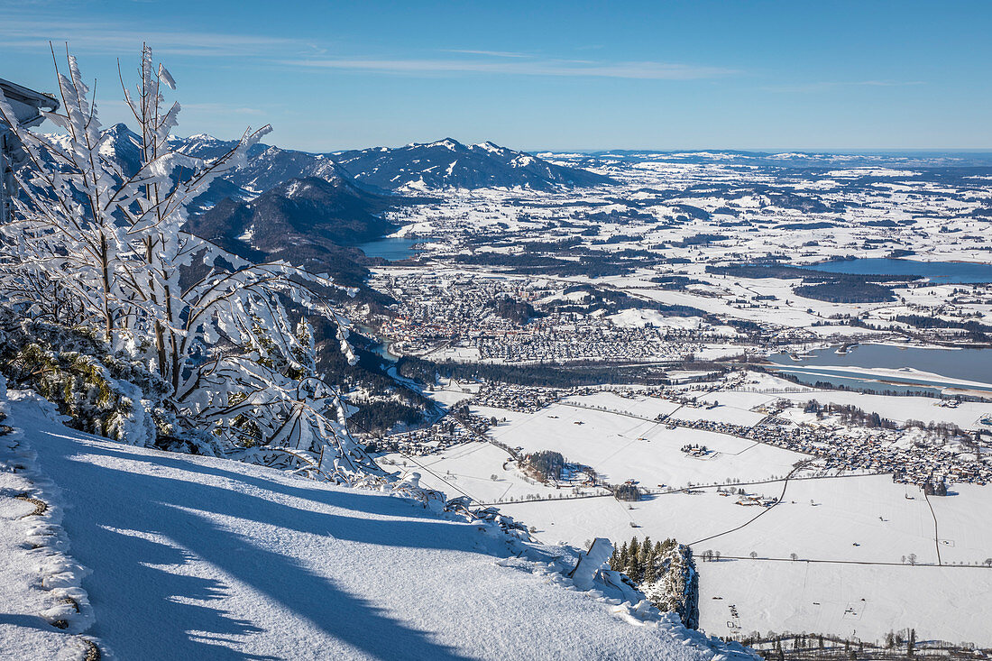 Blick vom Tegelberg auf den Forggensee, Schwangau, Allgäu, Bayern, Deutschland