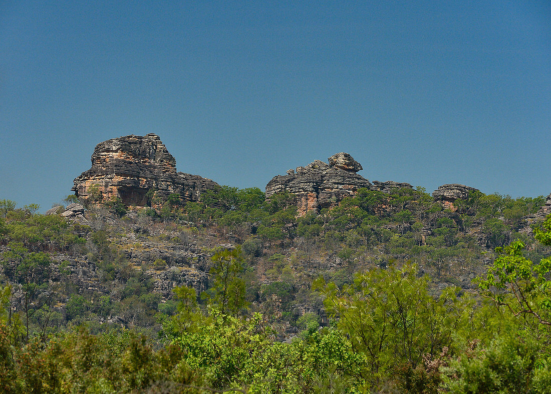 Rocky landscape and vegetation in Kakadu National Park, Jabiru, Northern Territory, Australia