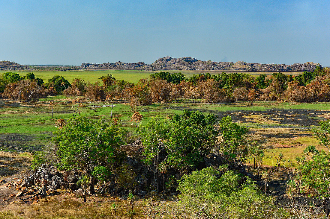 Typical landscape with rocks and gum trees, Kakadu National Park, Jabiru, Northern Territory, Australia