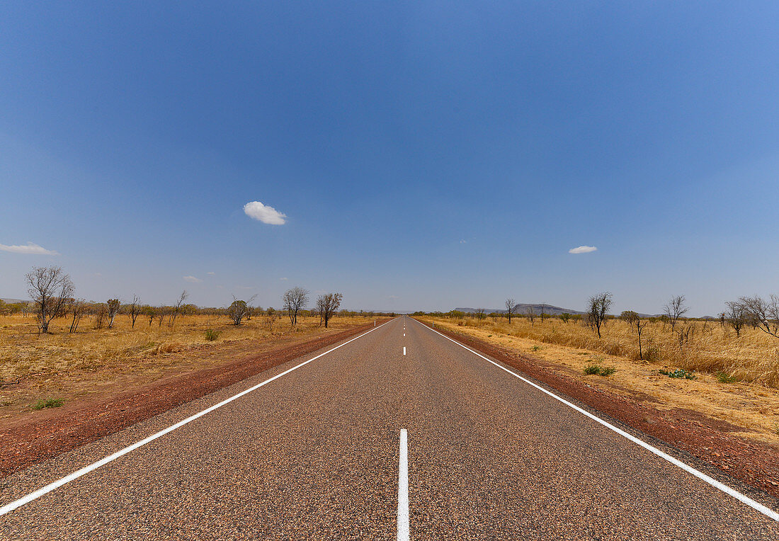 Lonely highway to the horizon in the outback, near Kununurra, Western Australia, Australia