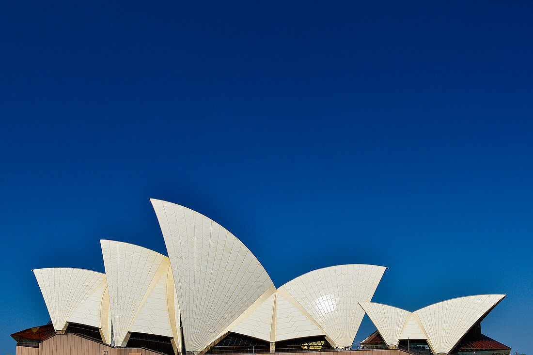 The Opera House glows in the sun against a deep blue sky, Sydney, New South Wales, Australia