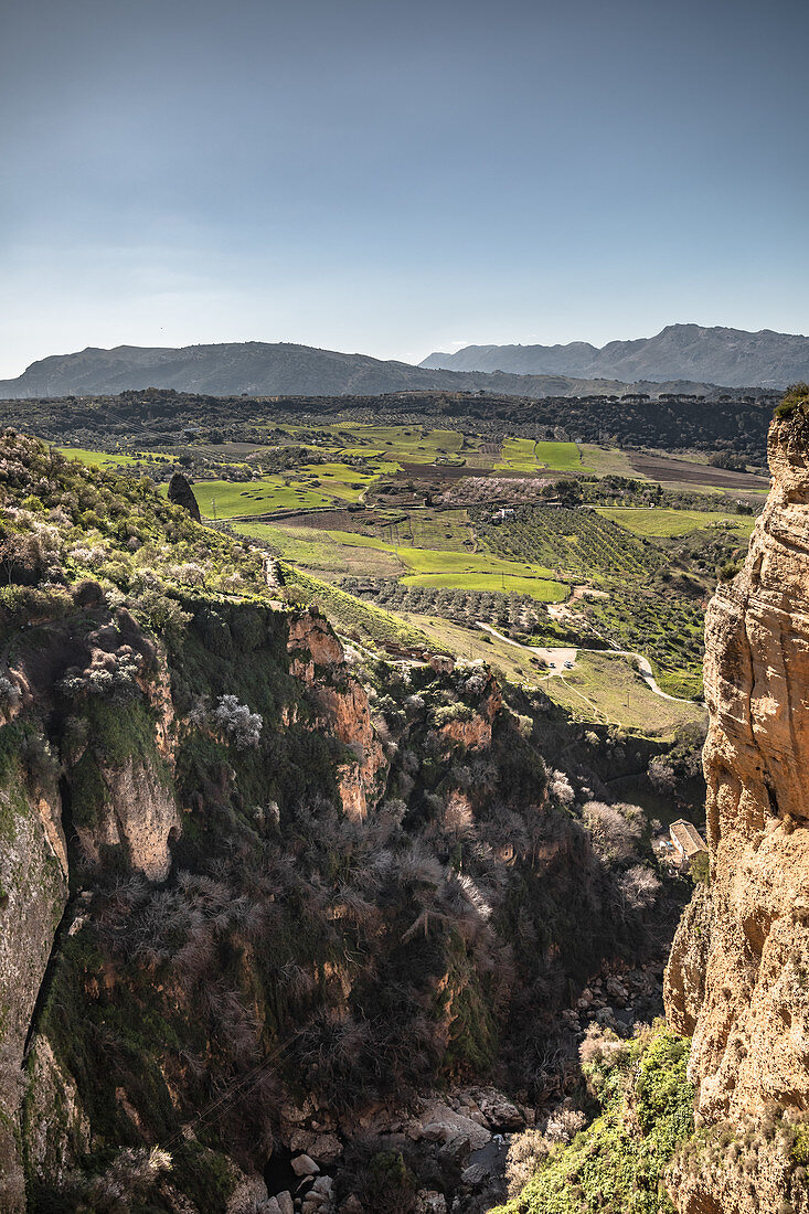 Blick auf die El Tajo Schlucht in Ronda, Spanien