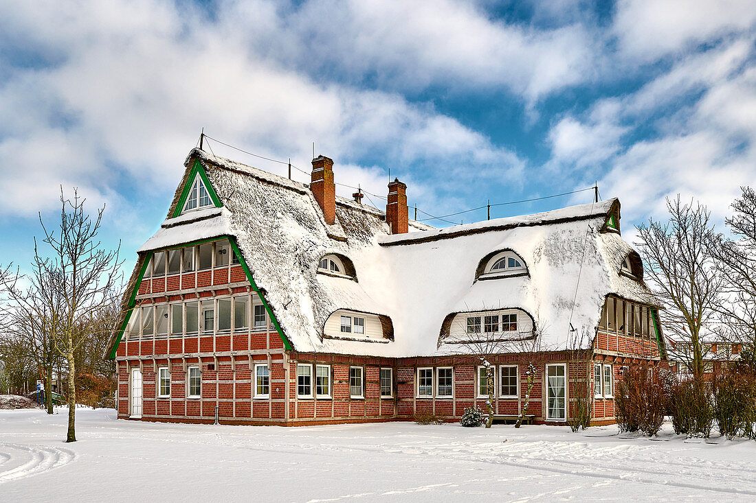 Snow-covered thatched roof house, Dorum, Lower Saxony, Germany