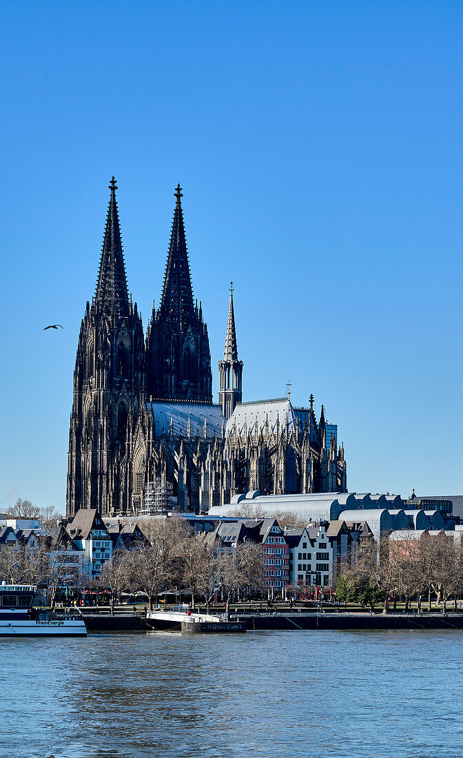 Blick auf den Kölner Dom von Osten, Köln, Nordrhein-Westfalen, Deutschland