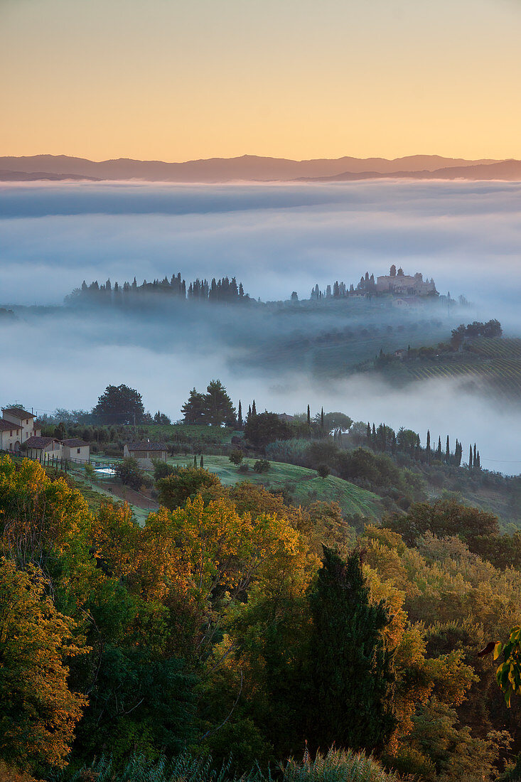 Nebelmorgen im Herbst unterhalb San Gimignano, Toskana, Italien, Europa