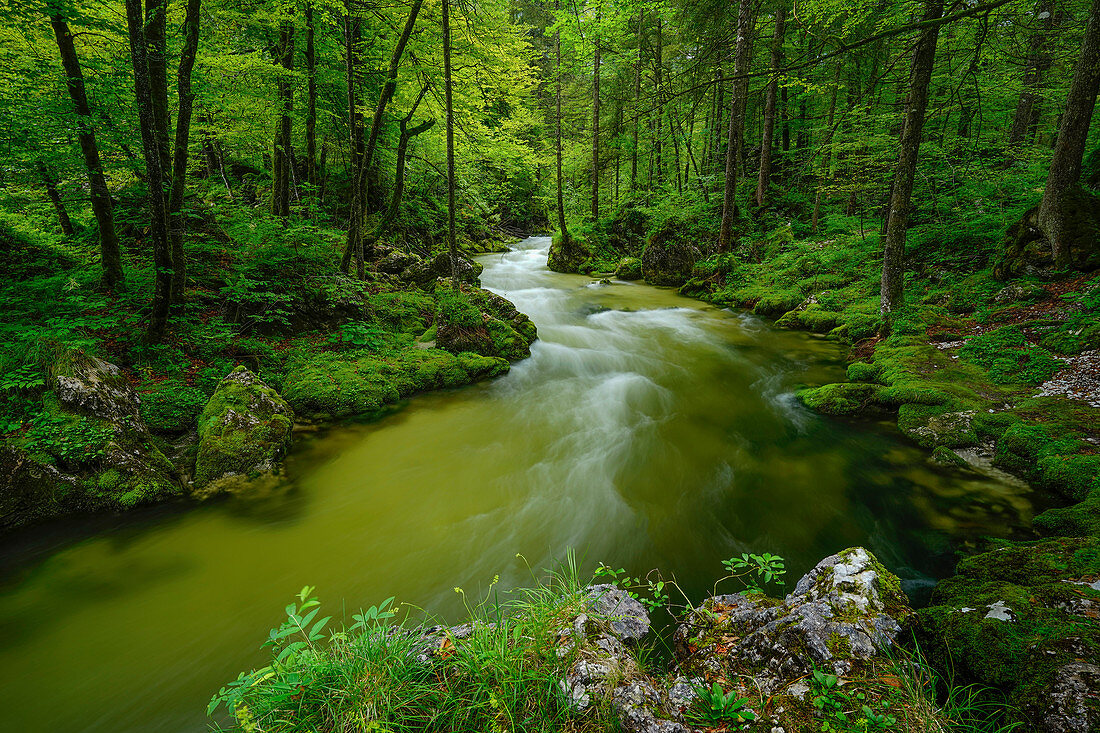 Idyllic mountain stream in the Salzburger Land, Austria, Europe