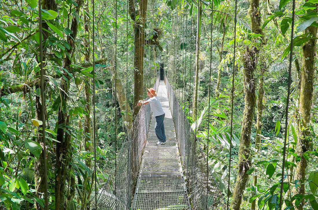 Mann steht auf hängender Brücke, Arenal Volcano Nationalpark, La Fortuna, Costa Rica