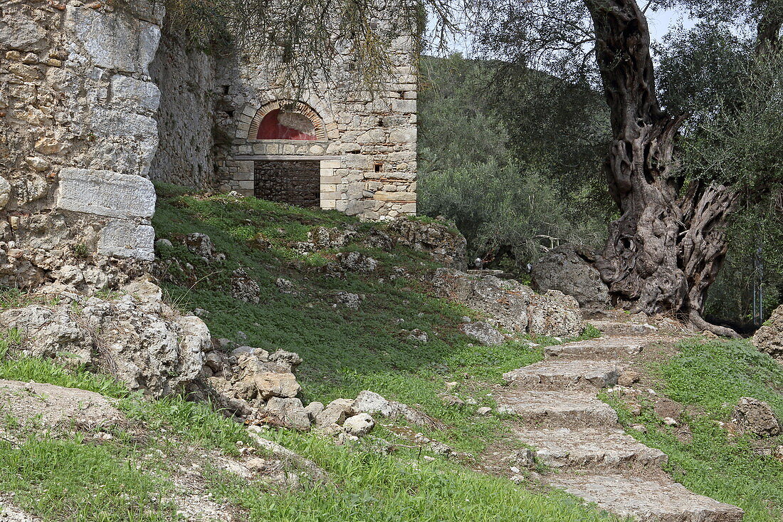 Castle ruins, Gardiki, Corfu Island, Ionian Islands, Greece