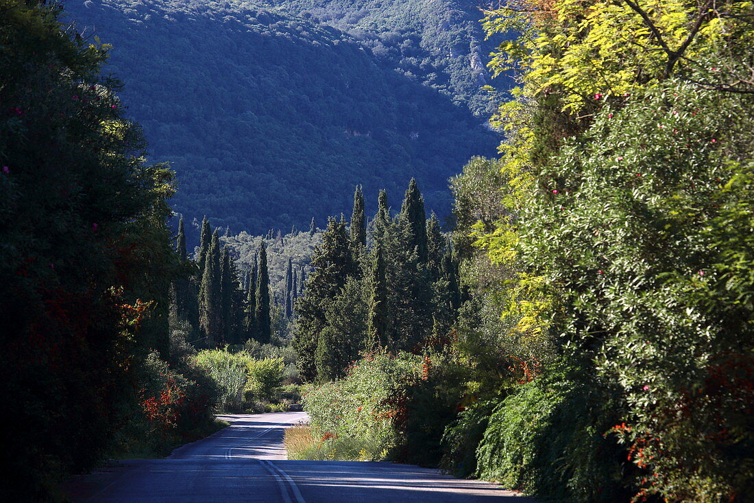 Road to Paleokstritsa, Corfu Island, Ionian Islands, Greece