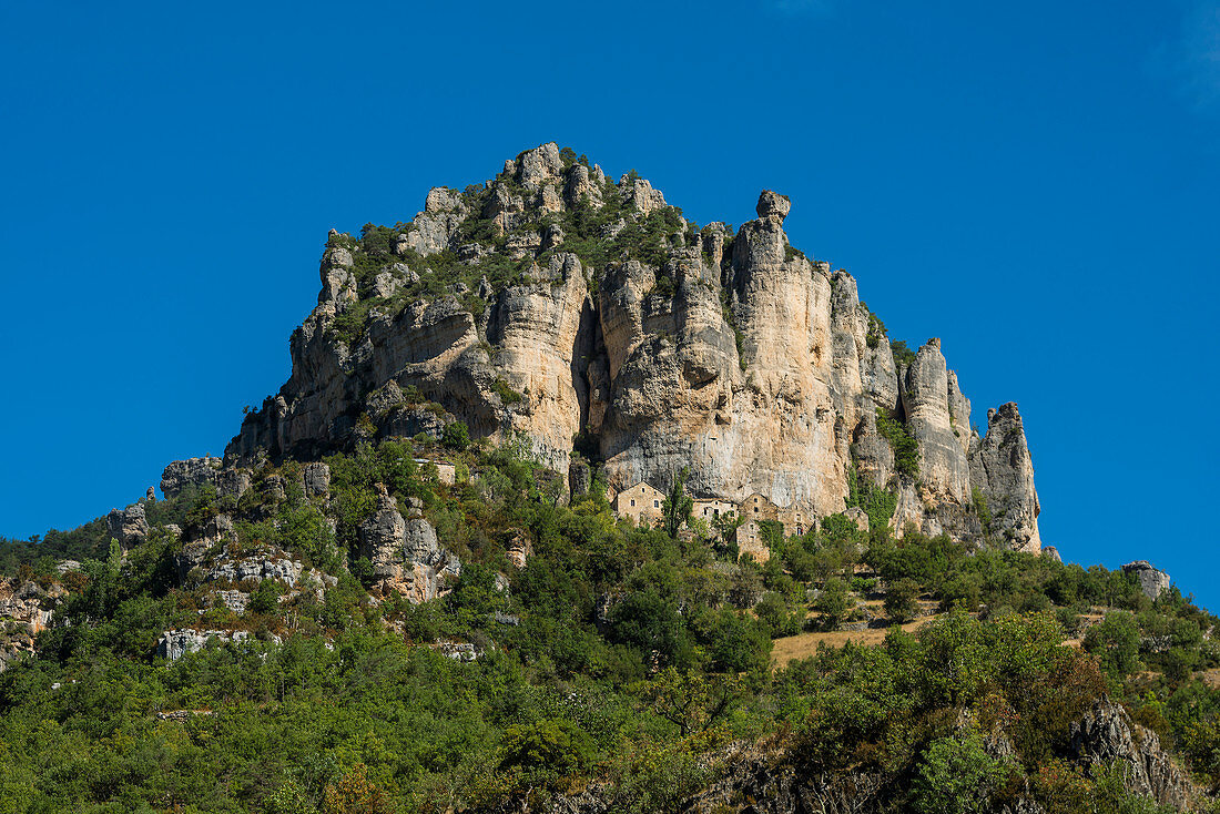 Tarn-Schlucht bei Le Rozier, Gorges du Tarn, Parc National des Cévennes, Nationalpark Cevennen, Lozère, Languedoc-Roussillon, Okzitanien, Frankreich