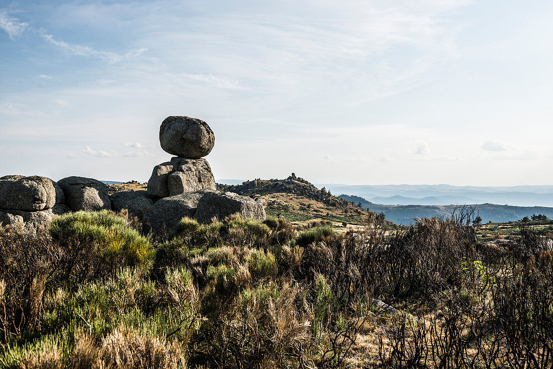 Mont Lozère, Gorges du Tarn, Parc National des Cévennes, Cevennes National Park, Lozère, Languedoc-Roussillon, Occitania, France