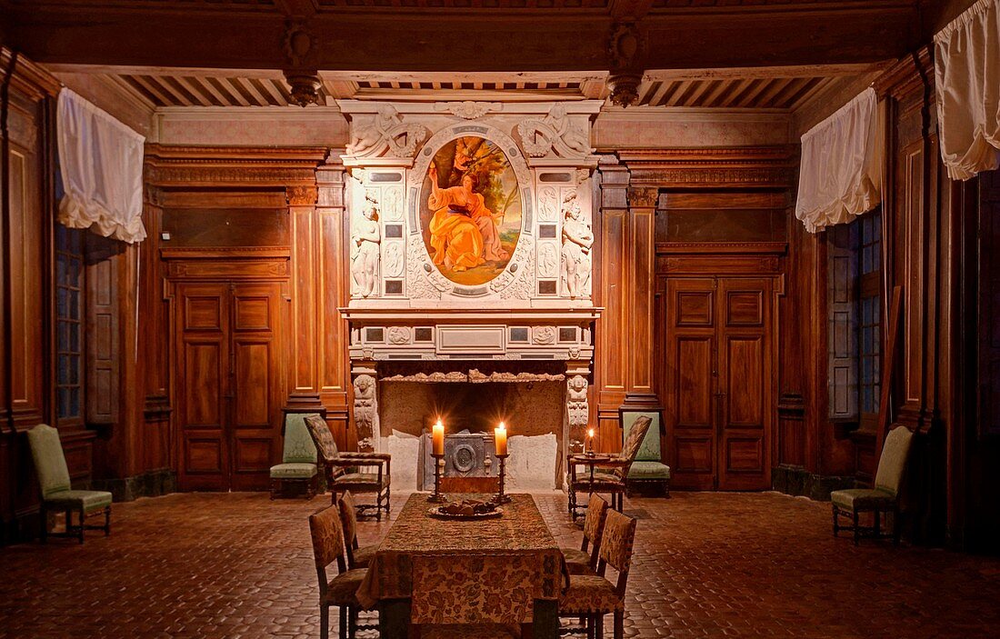 France, Ain, Fareins, the castle of Flecheres, the fireplace of the big lounge