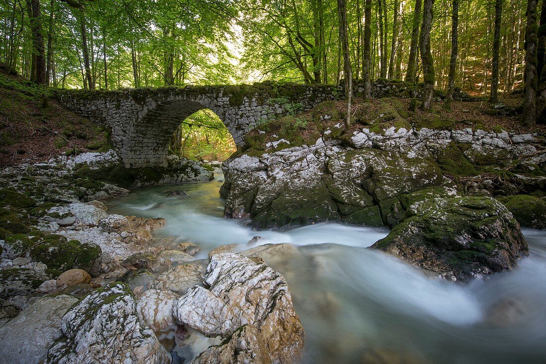 France, Ain, the village of Chezery Forens at the gates of the Jura, the old road and stone bridge on the torrent of Valserine