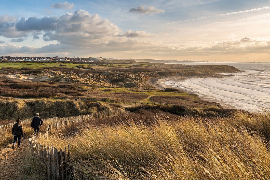 France, Pas de Calais, Opal Coast, Wimereux, the Slack dunes near Ambleteuse (Opal Coast, Great Site of the two Caps), view of the Pointe aux Oies and the village of Wimereux