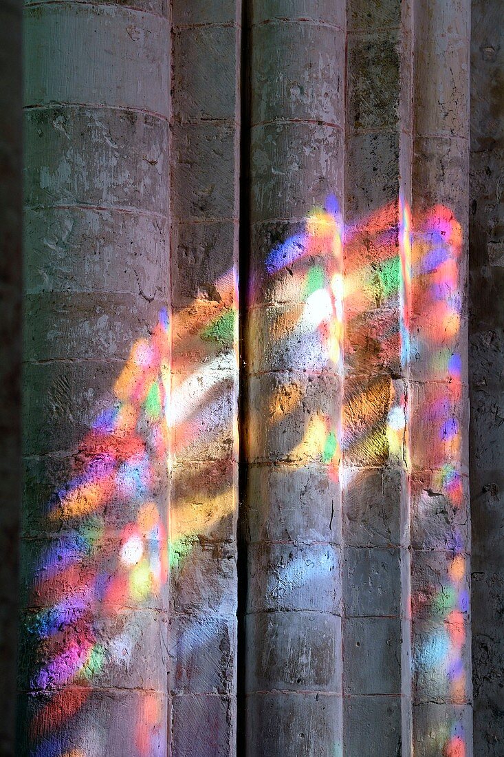 France, Seine-Maritime, Saint Martin de Boscherville, Saint-Georges de Boscherville Abbey of the 12th century, stained glass light in the abbey church nave