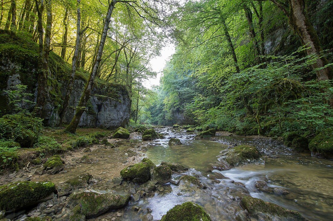 Frankreich, Doubs, Loue-Tal, die Schlucht des Puy Noir in Richtung Ornans, Treffpunkt des Malers Gustave Courbet