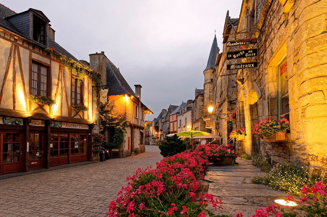 Frankreich, Morbihan, Rochefort en Terre, beschriftet mit den schönen Dörfern Frankreichs (Die schönsten Dörfer Frankreichs), Place du Puits