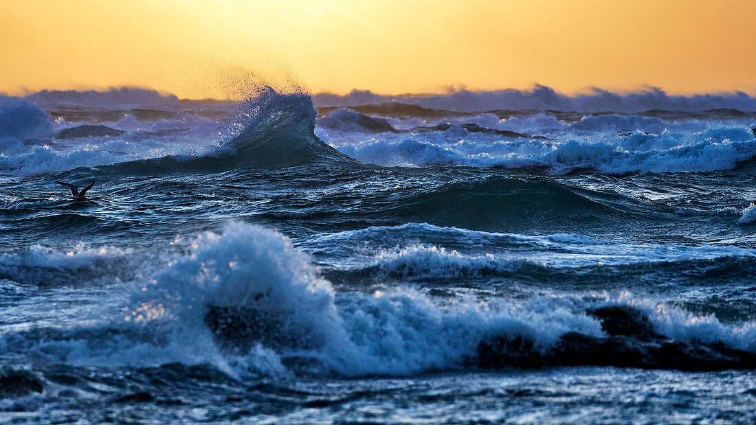 France, Finistère, Penmarc'h, sunset during winter seen from the Pointe de Penmarc'h