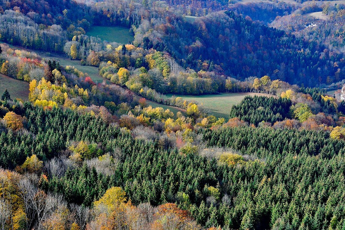 France, Doubs, Dessoubre valley with autumn colors