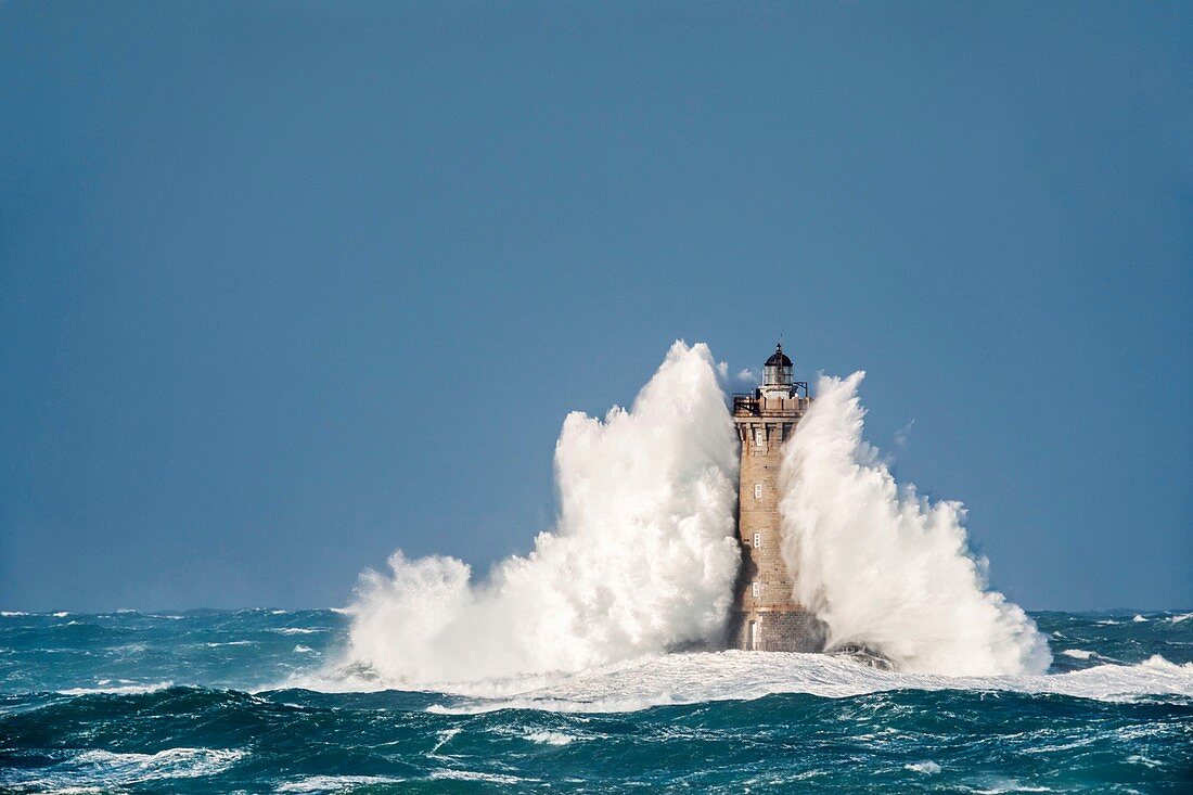 Frankreich, Finistère, Porspoder, Landunvez, Presqu'île de Saint Laurent, Chenal du Four, Der vier Leuchtturm im Sturm, Historisches Denkmal klassifiziert