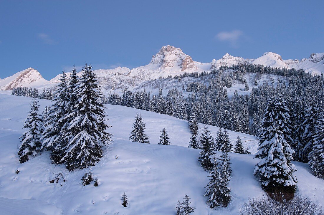 Frankreich, Haute Savoie, Massiv von Aravis, Le Grand Bornand, nach einem Schneefall auf dem Skigebiet im Tal des Col des Annes, den Schneefeldern und dem Punkt Percée in der Abenddämmerung