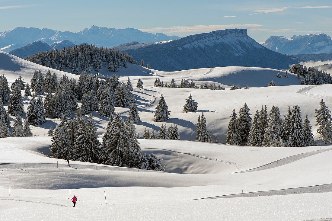 Frankreich, Haute Savoie, massive Bauges, Semnoz-Hochebene oberhalb von Annecy und seine Wander- und Langlaufloipen sowie der Margeriaz-Berg