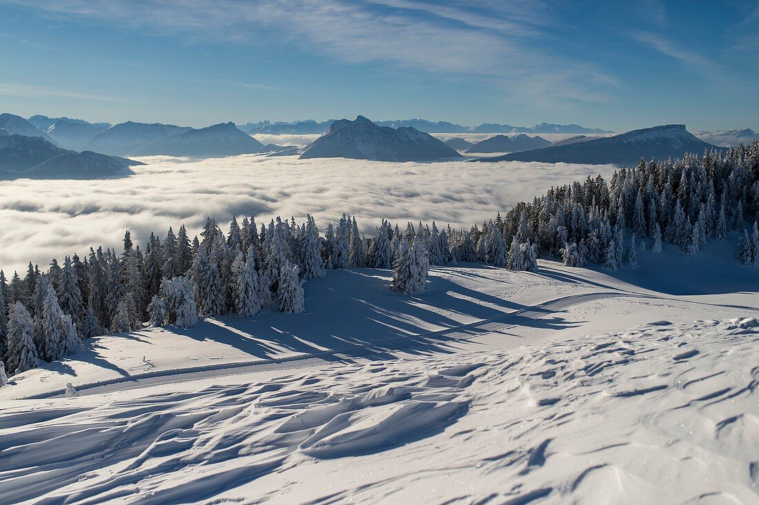 France, Haute Savoie, massive Bauges, above Annecy on the edge with the Savoie, the Semnoz plateau exceptional belvedere on the Northern Alps, view to the East and sea of clouds on the interior valleys