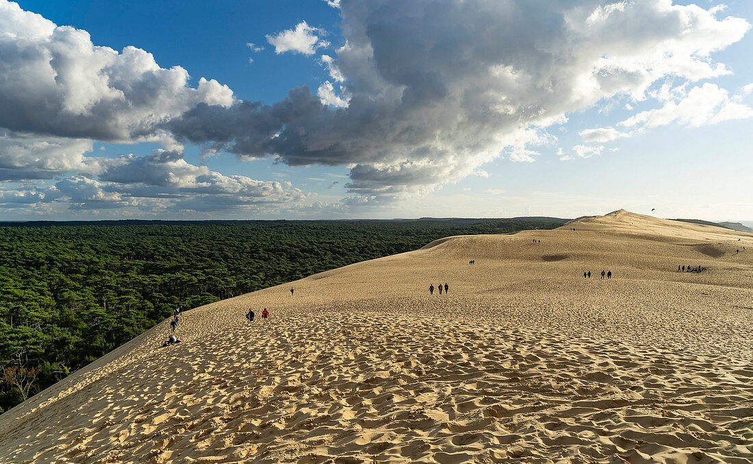 Frankreich, Gironde, Bassin d'Arcachon, La Teste-de-Buch, Pyla-sur-Mer, Dune du Pilat