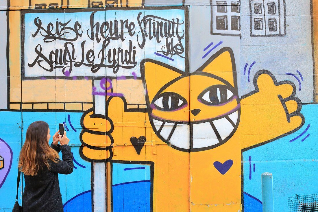 Frankreich, Bouches du Rhone, Marseille (6. Bezirk), Cours Julien, Street Art (2015) unter der Regie von M.Chat