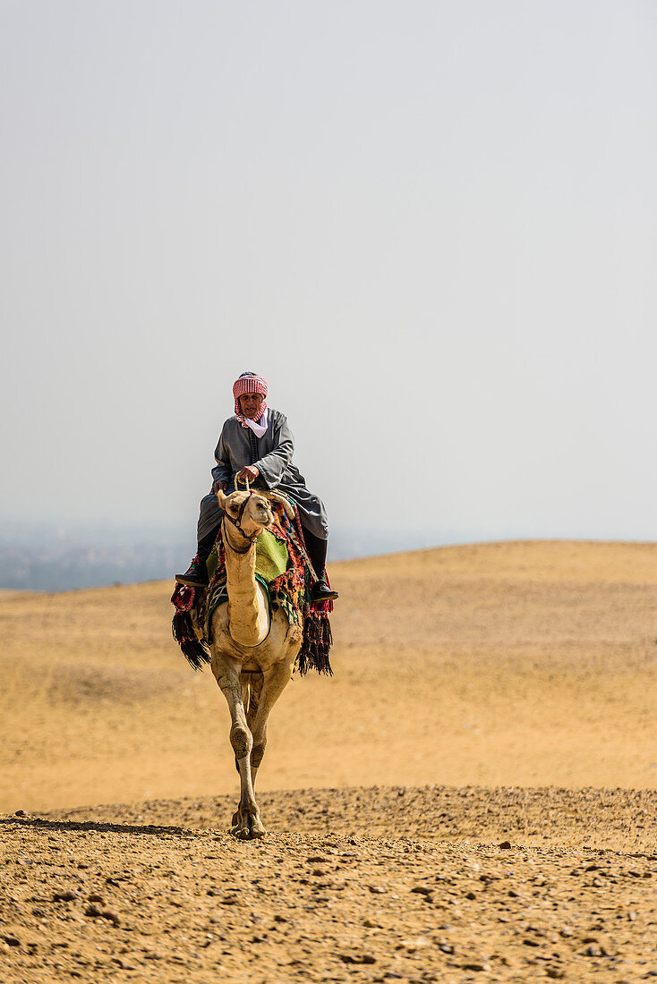 Mann, der ein Kamel in der Wüste außerhalb von Kairo reitet