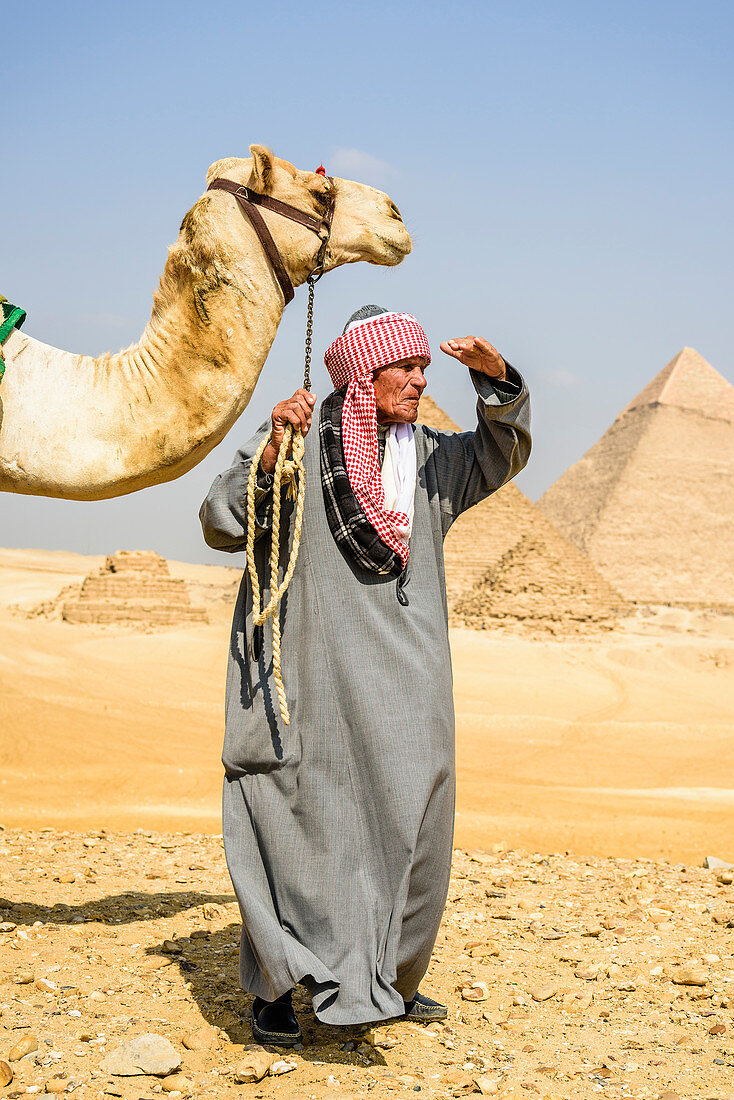 Ein Touristenführer, der ein Kamel auf einem Halfter hält und sich an der Pyramidenstelle in Gizeh umschaut