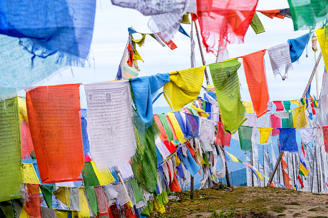 Buddhist prayer flags, Chelela Pass, Himalayas, Bhutan, Asia