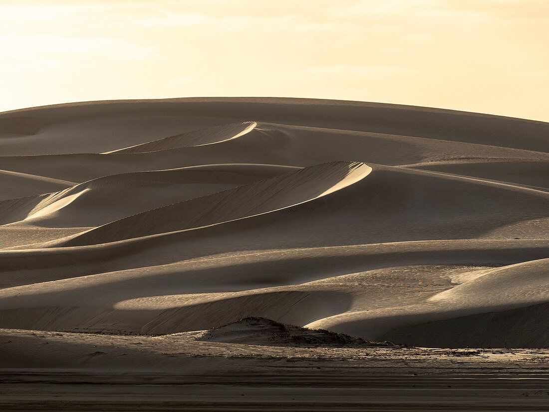 Wind fegte Barkhan-Sanddünen auf der Barriereinsel Isla Magdalena, Baja California Sur, Mexiko, Nordamerika