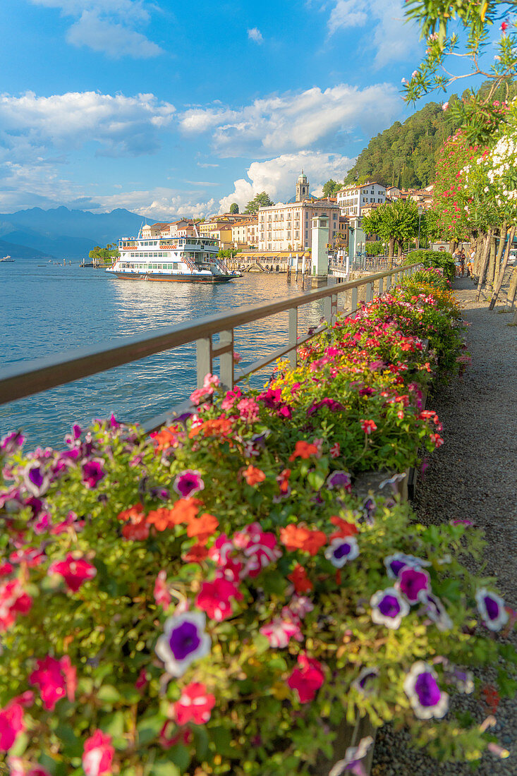 Blumen entlang der berühmten Promenade um Bellagio und Comer See bei Sonnenuntergang, Provinz Como, Lombardei, Italienische Seen, Italien, Europa