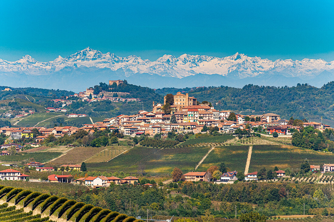 Weinberge mit den Alpen dahinter, Weinregion Barolo, UNESCO-Weltkulturerbe, Piemont, Italien, Europa
