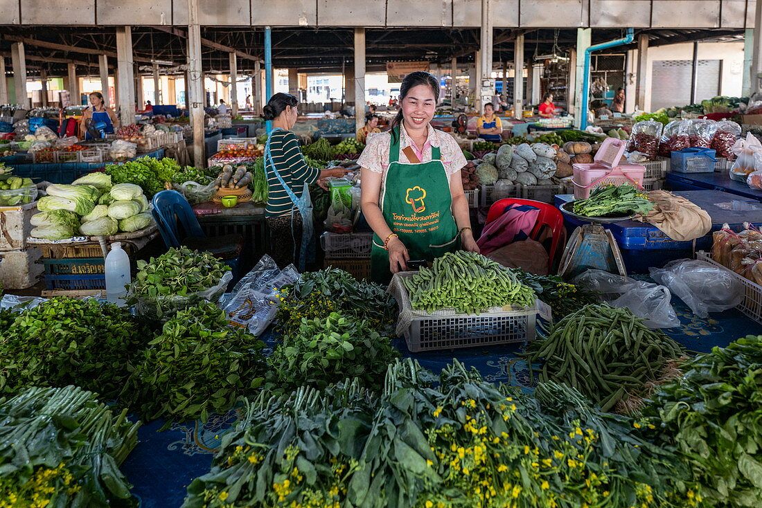 Freundliche Frau verkauft Gemüse in der Markthalle, Houayxay (Huay Xai), Provinz Bokeo, Laos, Asien